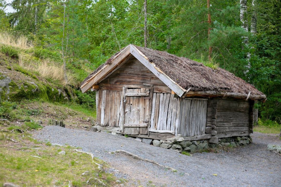 Tradisjonell norsk hytte med torvtak og trevegger, omgitt av grønn skog.